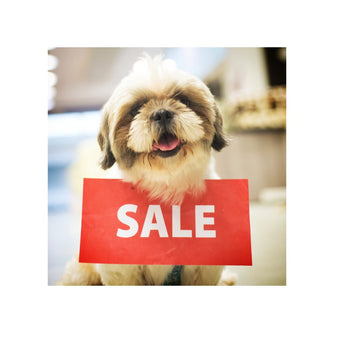 Sale, Offer & Clearance