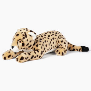 Kali Cheetah