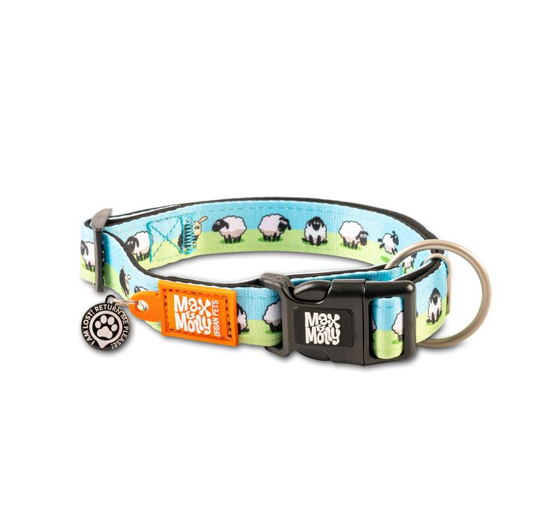 Max & Molly Collars