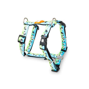 Max & Molly Harnesses
