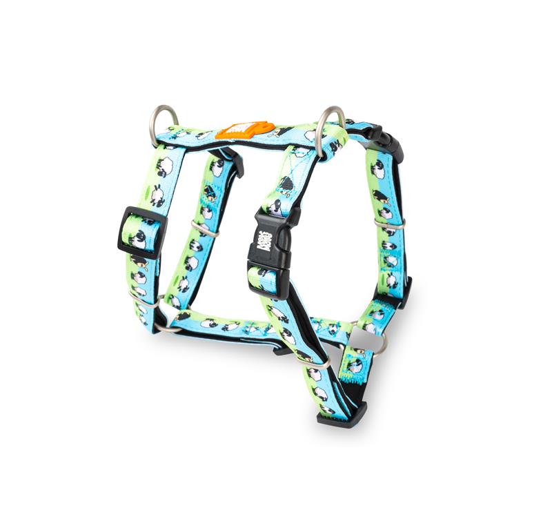 Max & Molly H-Style Harnesses