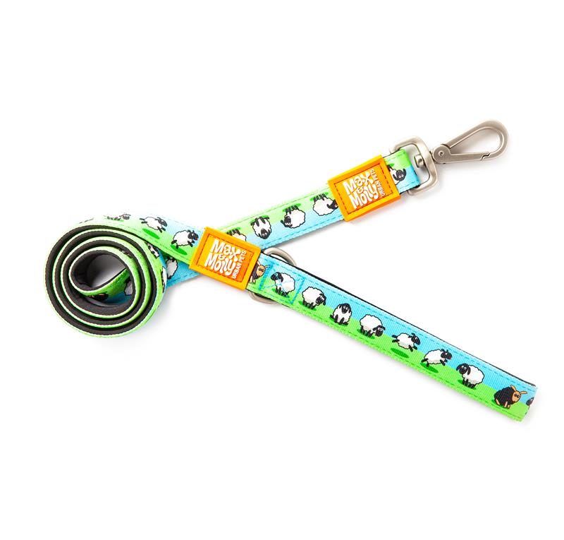 Max & Molly Short Leads