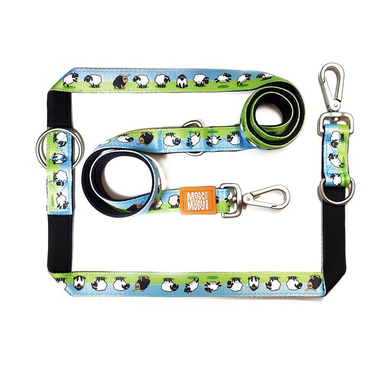 Max & Molly Multi-Function Leads