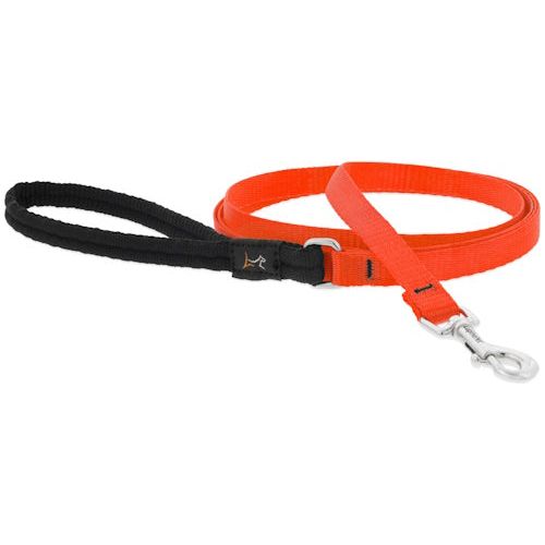 Lupine Basics Leads