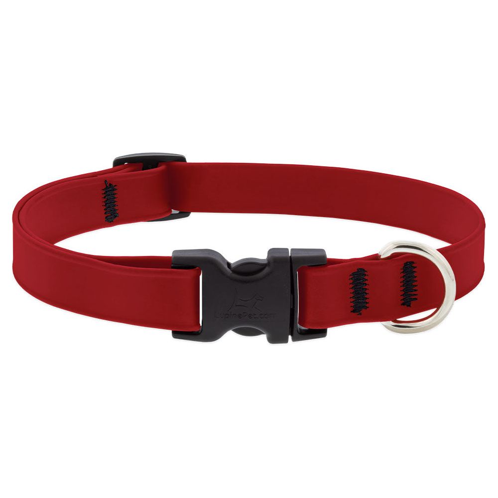 Lupine pet dog collars sale