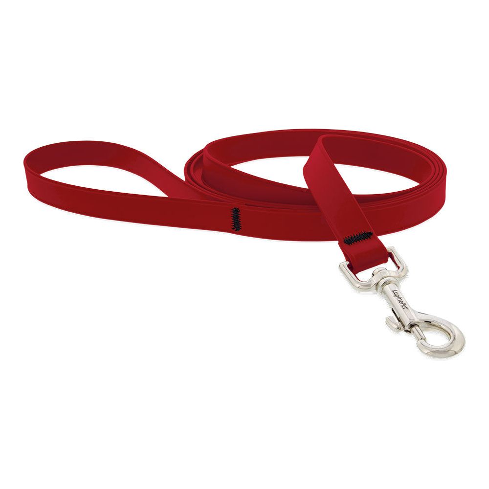 Lupine Splash Waterproof Dog Leads