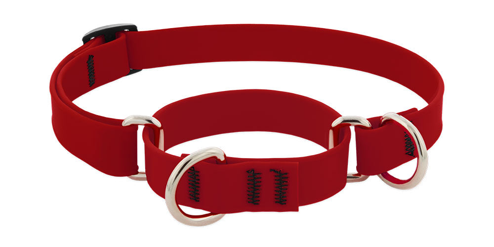 Lupine Splash Biothane Martingale Collars