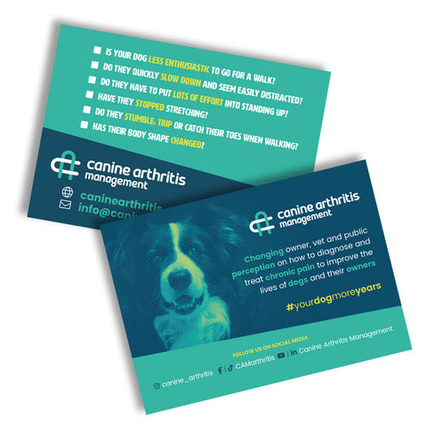 CAM A6 Postcard Flyers Bundle x 50
