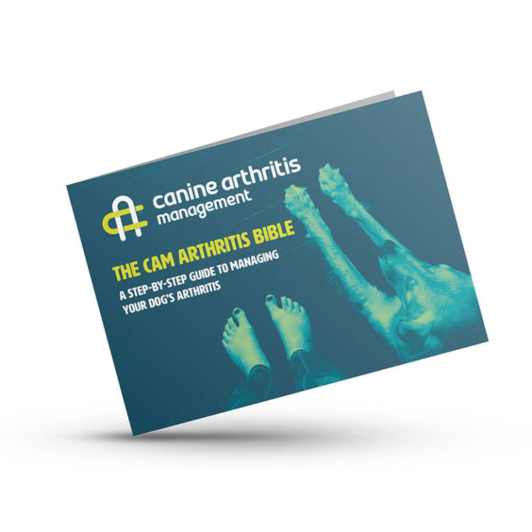 The CAM Arthritis Bible – Printed
