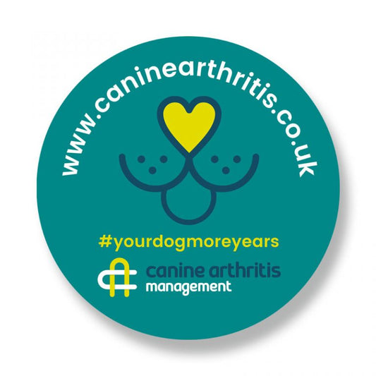 CAM Car Stickers
