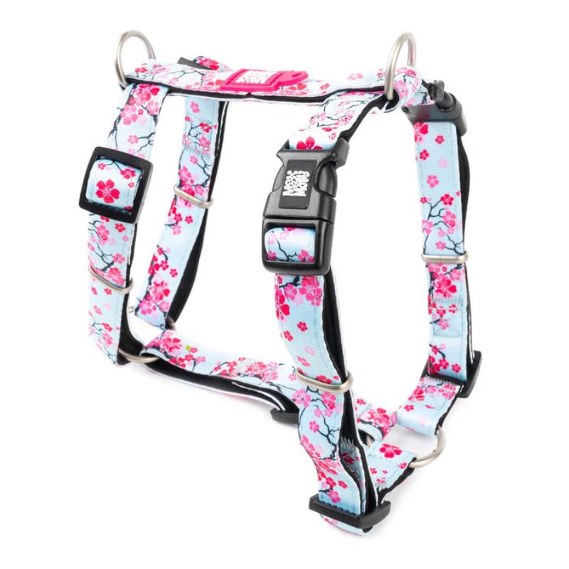 Max & Molly H-Style Harnesses