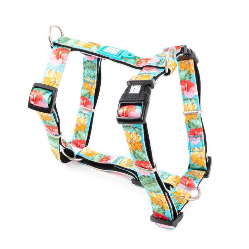 Max & Molly H-Style Harnesses