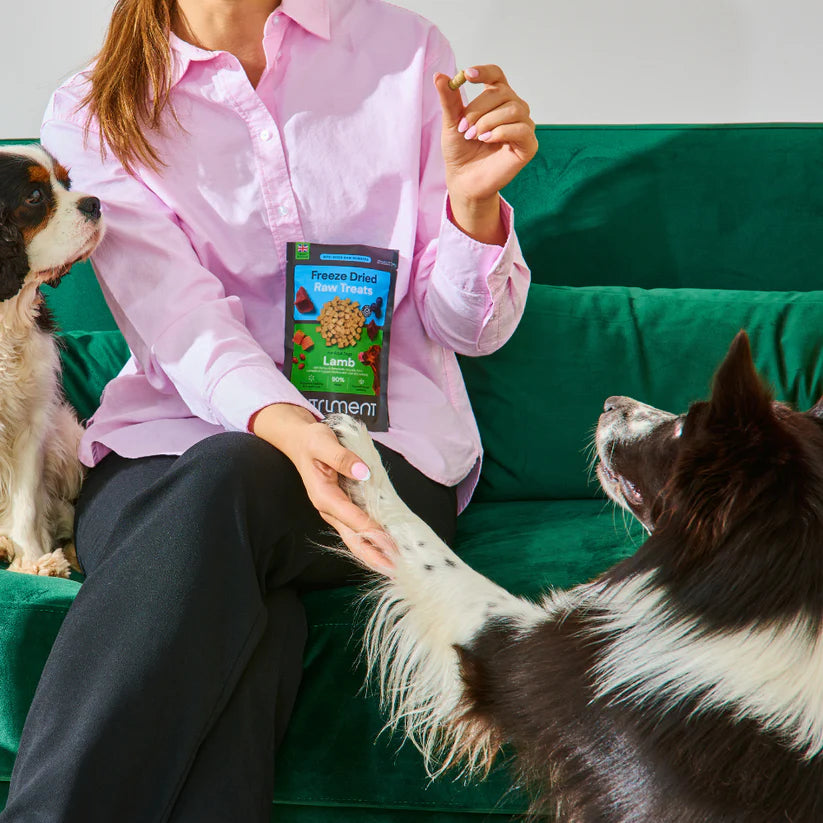 Nutriment Freeze Dried Treats - 30g