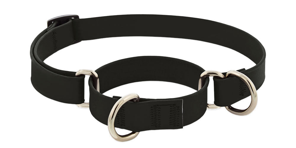Lupine Splash Biothane Martingale Collars