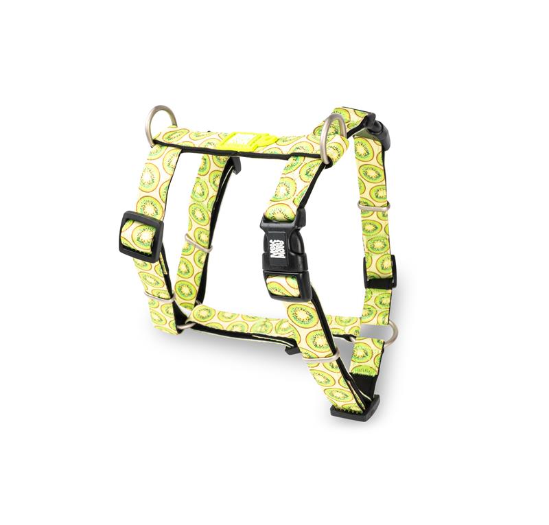 Max & Molly H-Style Harnesses