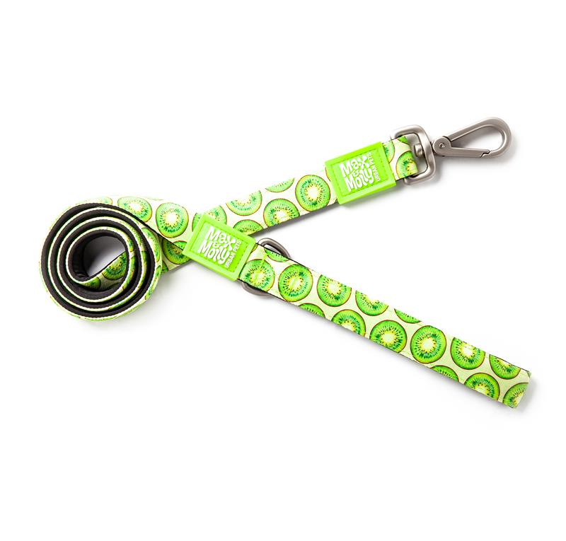 Max & Molly Short Leads