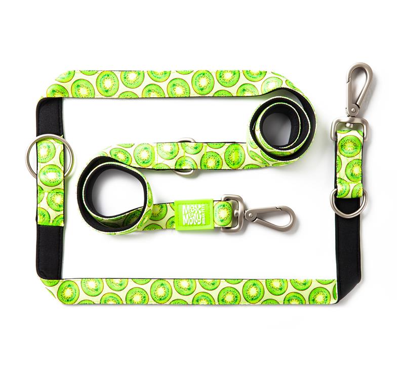 Max & Molly Multi-Function Leads