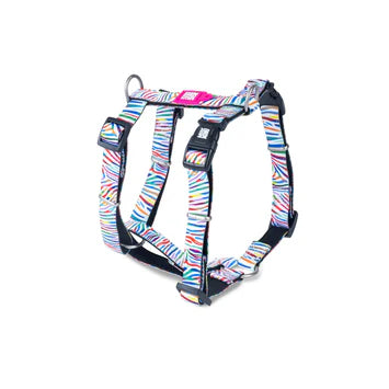 Max & Molly H-Style Harnesses