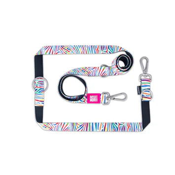 Max & Molly Multi-Function Leads