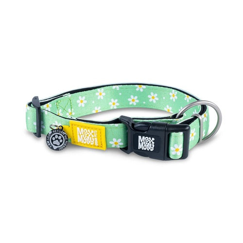 Max & Molly Collars