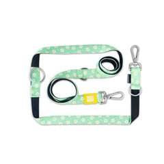 Max & Molly Multi-Function Leads