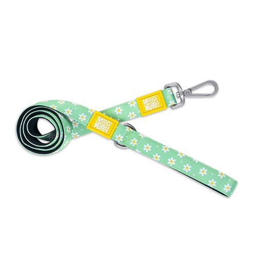 Max & Molly 4 foot Leads