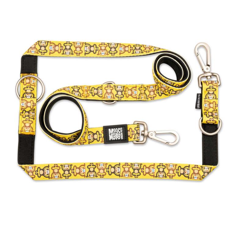 Max & Molly Multi-Function Leads