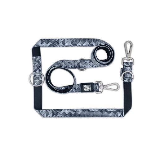 Max & Molly Multi-Function Leads