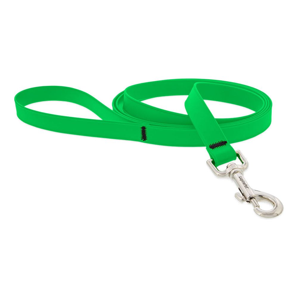 Lupine Splash Waterproof Dog Leads