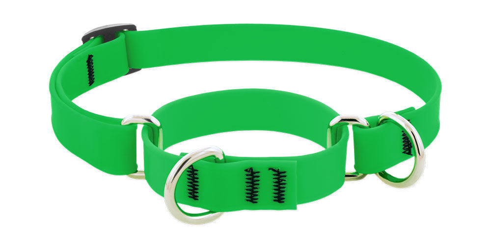 Lupine Splash Biothane Martingale Collars
