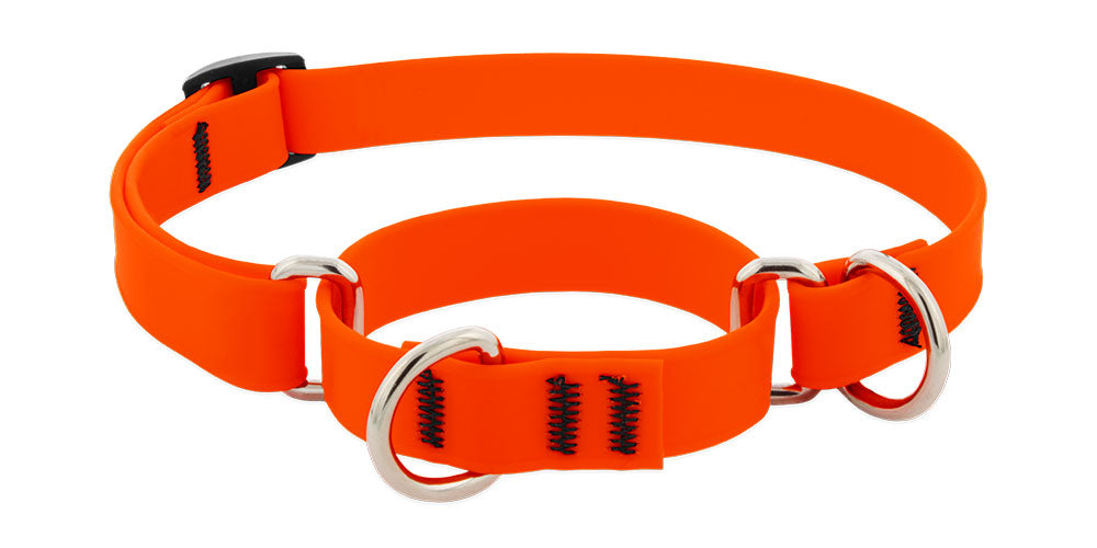 Lupine Splash Biothane Martingale Collars