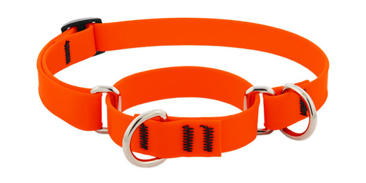 Lupine Splash Biothane Martingale Collars
