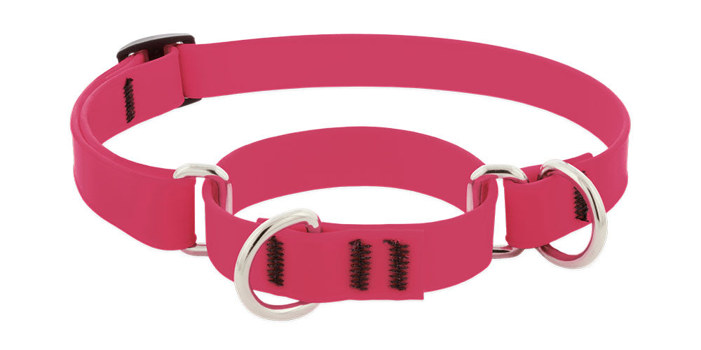 Lupine Splash Biothane Martingale Collars