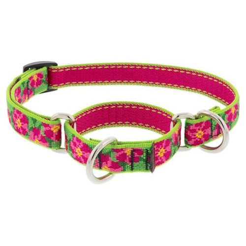 Lupine Martingale Collars