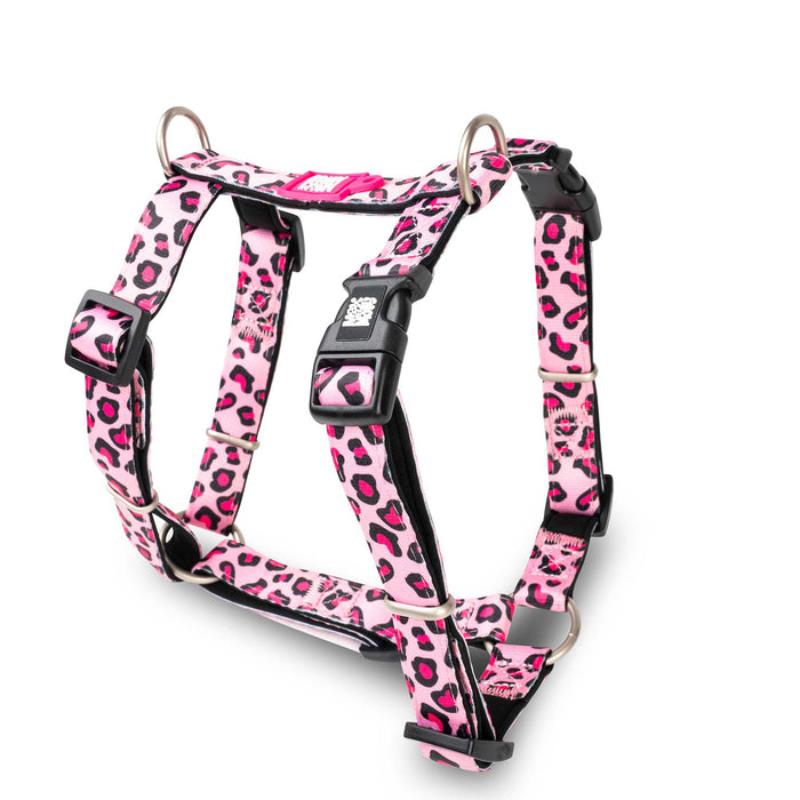 Max & Molly H-Style Harnesses