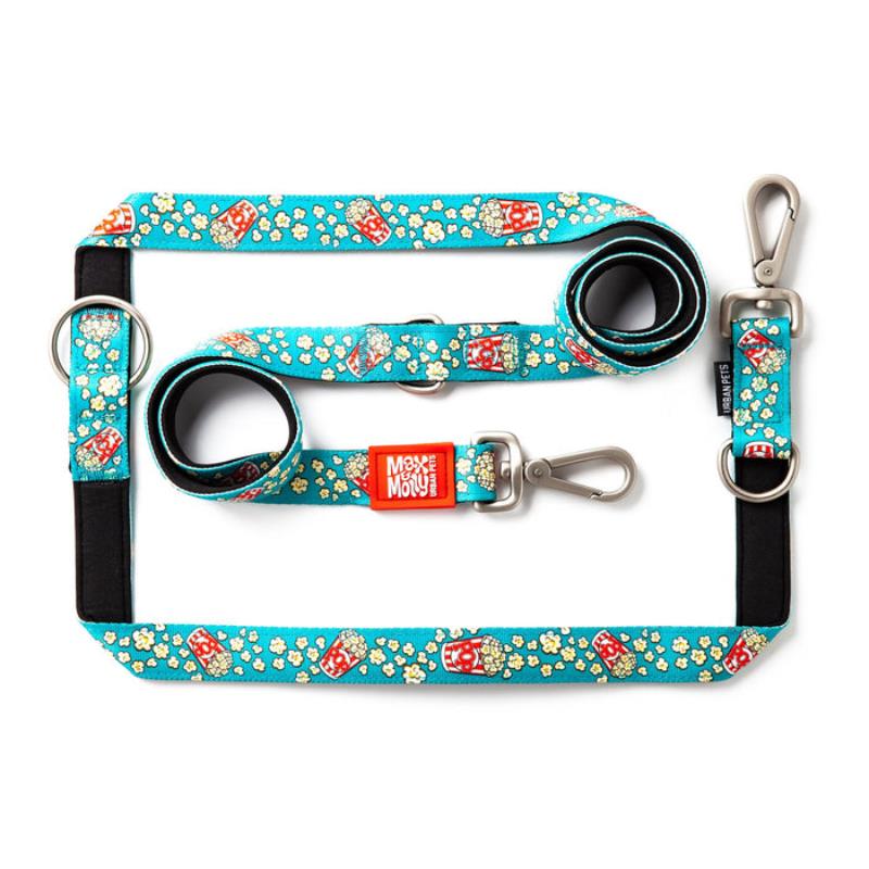 Max & Molly Multi-Function Leads