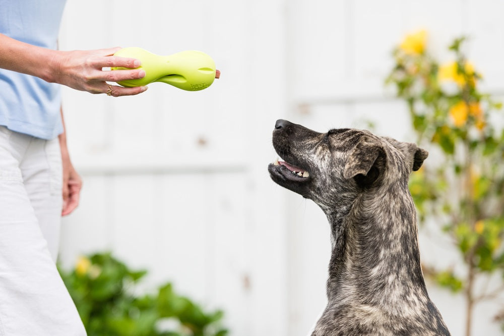 West Paw Qwizl Treat Toy