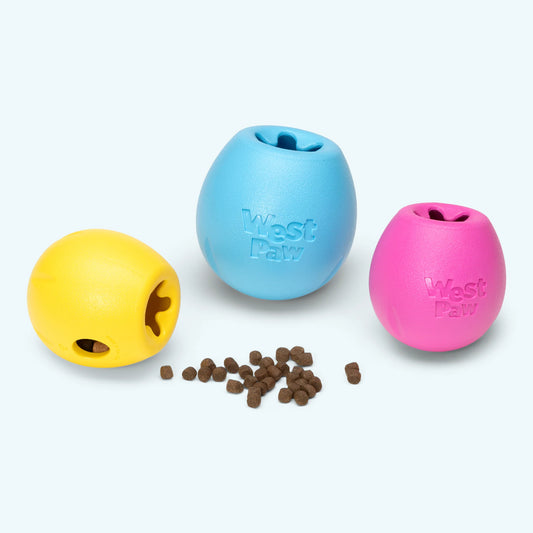 West Paw Echo Rumbl Dog Toy