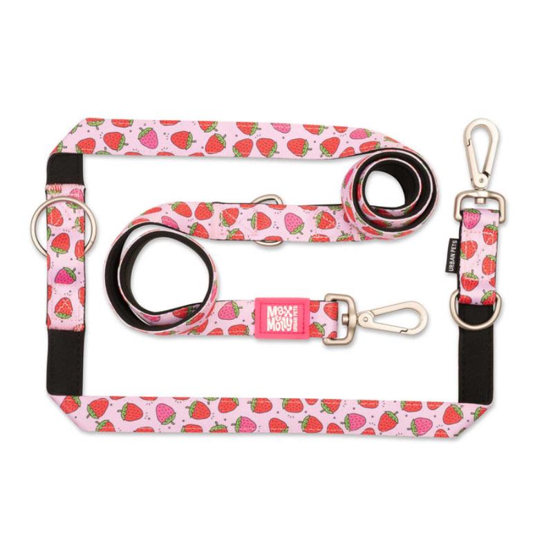 Max & Molly Multi-Function Leads