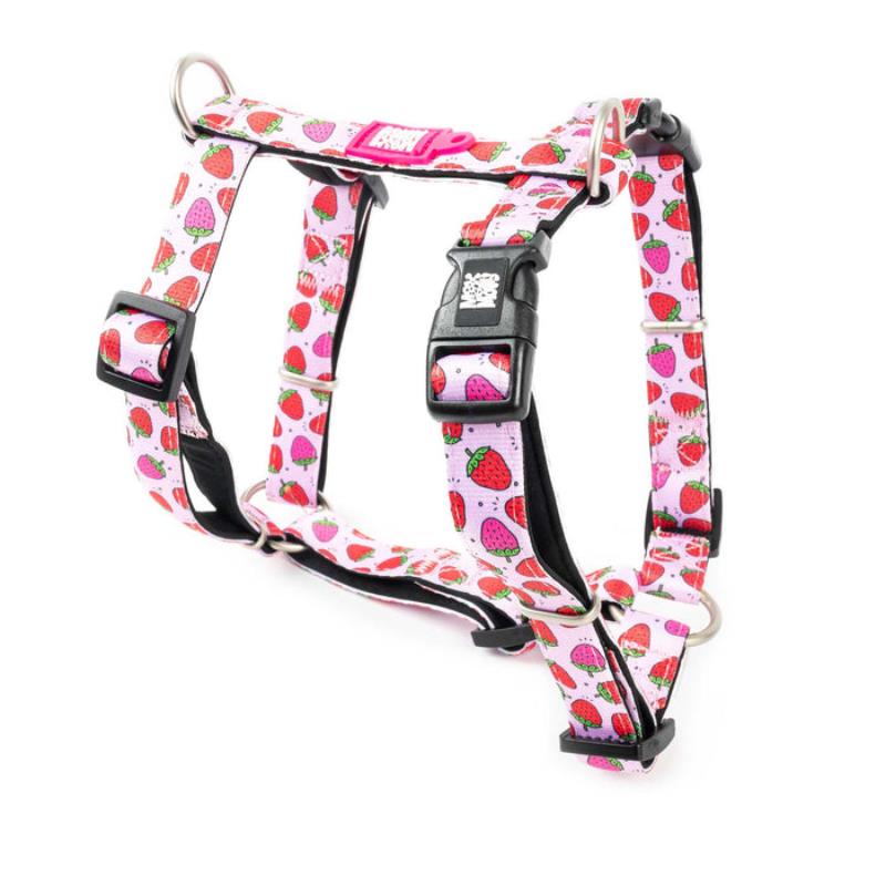 Max & Molly H-Style Harnesses