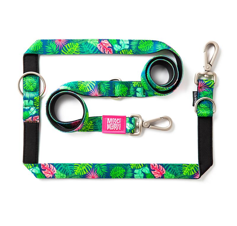 Max & Molly Multi-Function Leads
