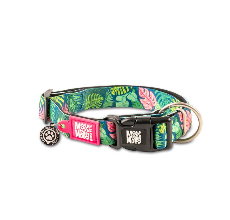 Max & Molly Collars