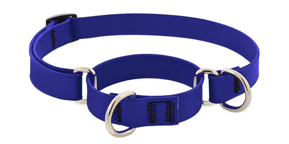 Lupine Splash Biothane Martingale Collars