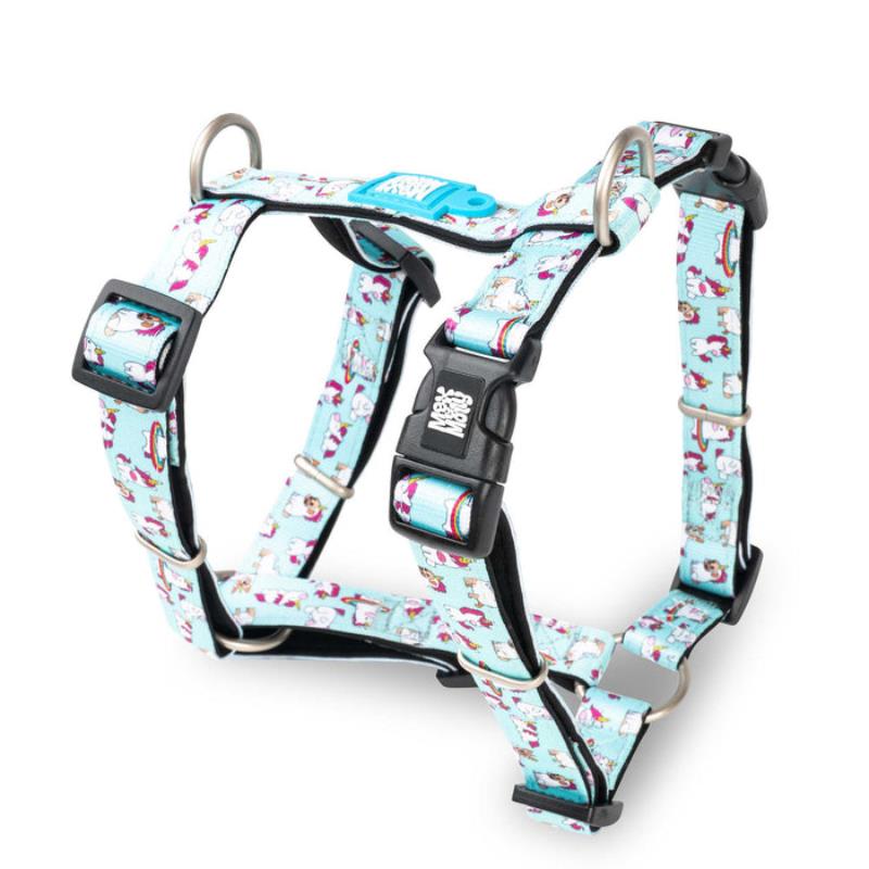 Max & Molly H-Style Harnesses