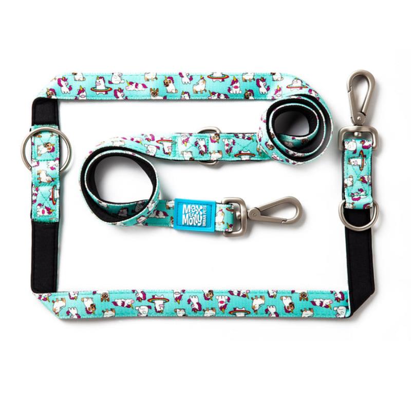 Max & Molly Multi-Function Leads