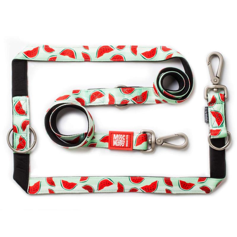 Max & Molly Multi-Function Leads