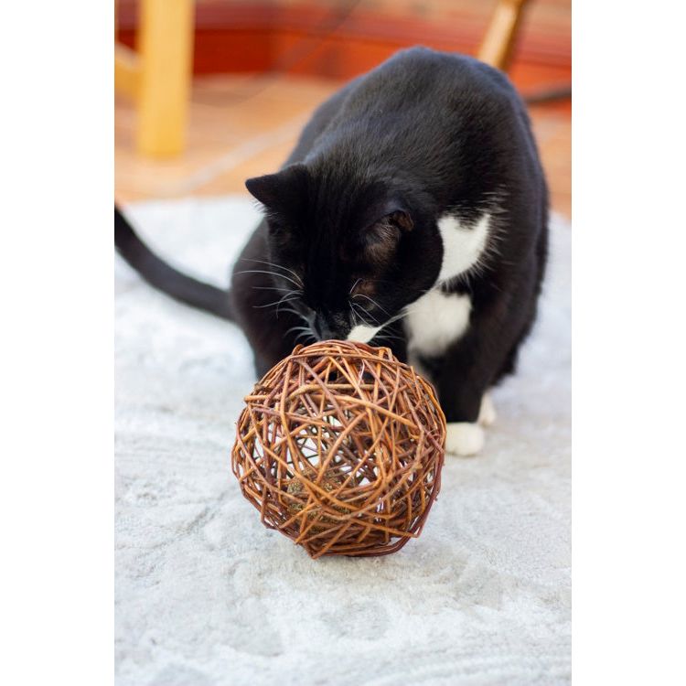 Naturals for Cat Willow & Catnip XL Ball