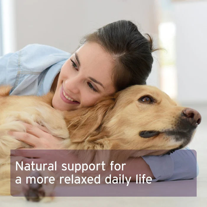 Calm & Relax Powder for Dogs - 100g