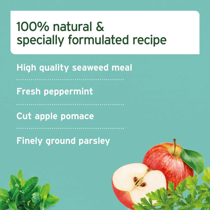 AniForte® Dental Powder for Dogs and Cats - 80g