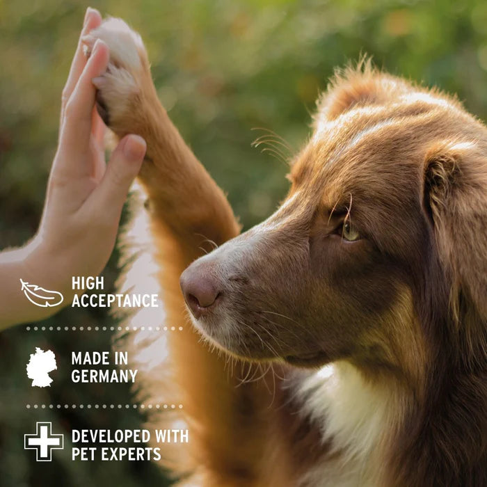 AniForte® Dental Powder for Dogs and Cats - 80g